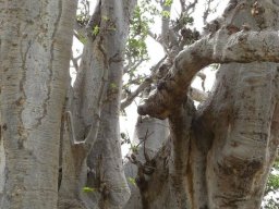 284297_10150260441069901_2436737_n